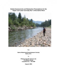 Habitat Assessments and Restoration Prescriptions for the “Upper and Lower Car-body Run” of the Salmo River