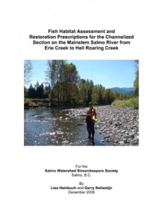 Fish Habitat Assessment and Restoration Prescriptions for the Channelized Section on the Mainstem Salmo River from Erie Creek to Hell Roaring Creek