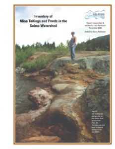 Inventory of Mine Tailings and Ponds in the Salmo Watershed