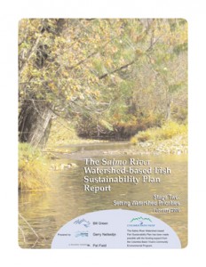 The Salmo River Watershed-based Fish Sustainability Plan Report; Stage Two: Setting Watershed Priorities