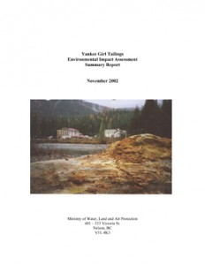 Yankee Girl Tailings Environmental Impact Assessment Summary Report