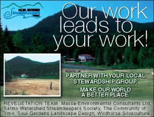 Yankee Girl Remediation Advertisement in Kootenay Business Magazine